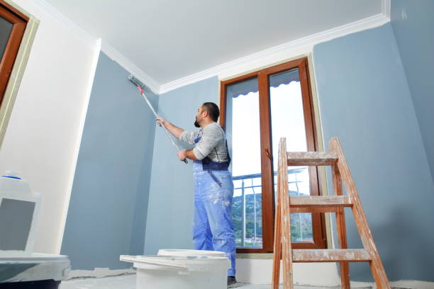 Best Drywall Sanding and Smoothing  in Albany, WI